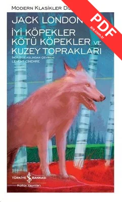 İyi Köpekler Kötü Köpekler ve Kuzey Toprakları - Modern Klasikler 199 PDF indir