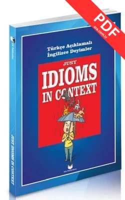 Just İdioms İn Context PDF indir