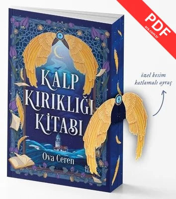 Kalp Kırıklığı Kitabı PDF indir