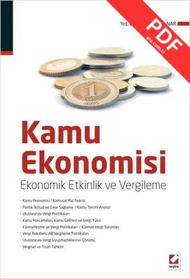 Kamu Ekonomisi