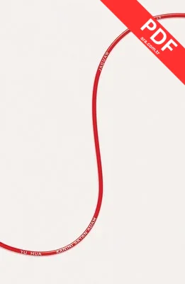 Kanını Satan Adam PDF indir