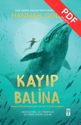 Kayıp Balina