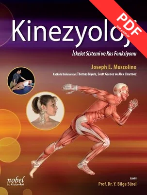 Kinezyoloji-İskelet Sistemi ve Kas Sistemi