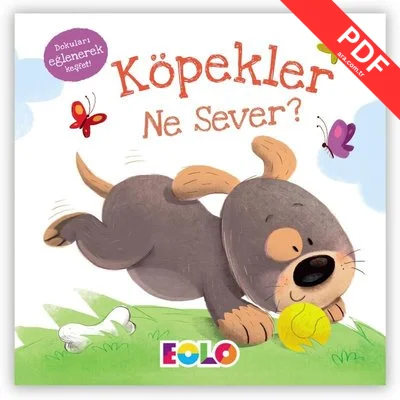 Köpekler Ne Sever?