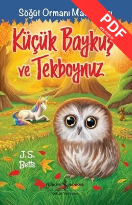 Küçük Baykuş ve Tekboynuz - Söğüt Ormanı Maceraları
