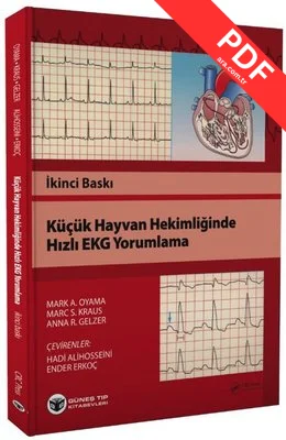 Küçük Hayvan Hekimliğinde Hızlı EKG Yorumlama