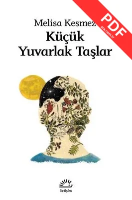 Küçük Yuvarlak Taşlar PDF indir