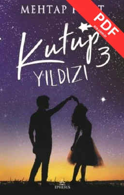 Kutup Yıldızı 3