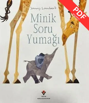 Minik Soru Yumağı