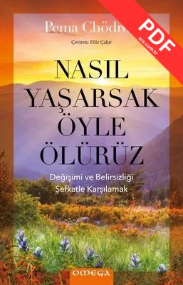 Nasıl Yaşarsak Öyle Ölürüz PDF indir