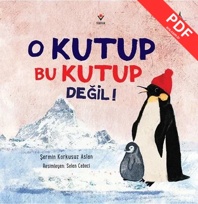 O Kutup Bu Kutup Değil!