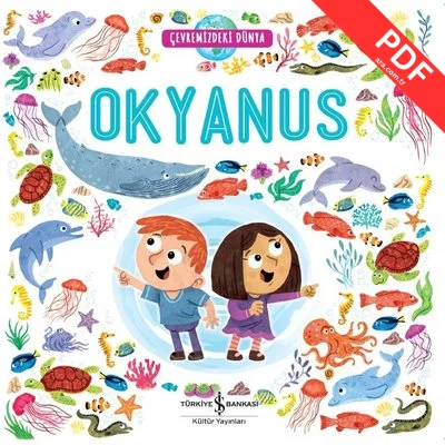 Okyanus-Çevremizdeki Dünya