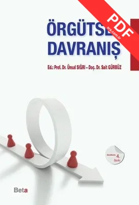 Örgütsel Davranış