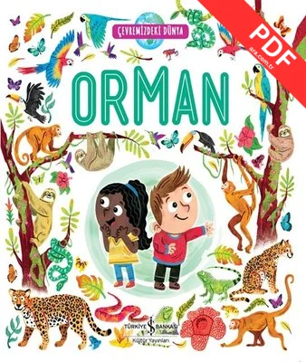 Orman-Çevremizdeki Dünya