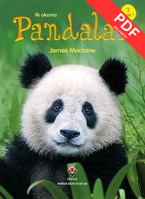 Pandalar-İlk Okuma PDF indir