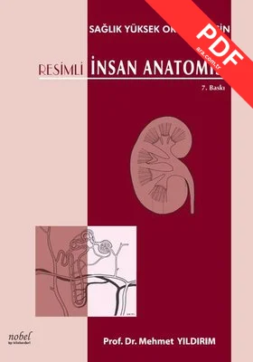 Resimli İnsan Anatomisi