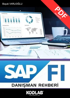 SAP FI Danışman Rehberi