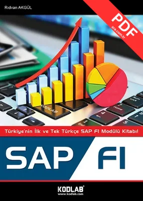 SAP FI PDF indir
