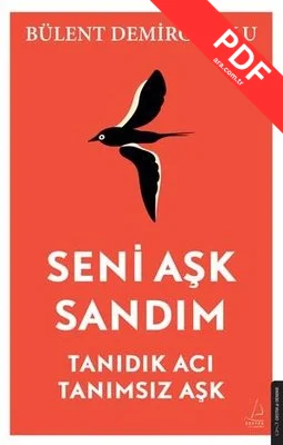 Seni Aşk Sandım - Tanıdık Acı Tanımsız Aşk