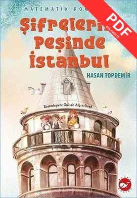 Şifrelerin Peşinde İstanbul - Matematik Romanı 1 PDF indir