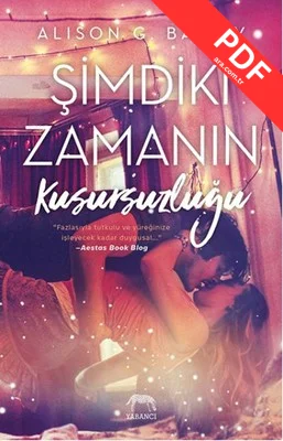 Şimdiki Zamanın Kusursuzluğu PDF indir