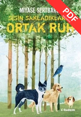 Sisin Sakladıkları - 2 Ortak Ruh PDF indir