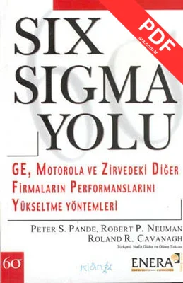 Six Sigma Yolu