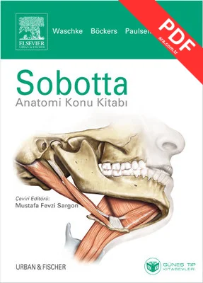 Sobotta Anatomi Konu Kitabı PDF indir