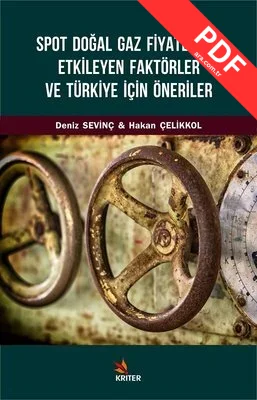 Spot Doğal Gaz Fiyatlarını Etkileyen Faktörler Ve Türkiye İçin Öneriler