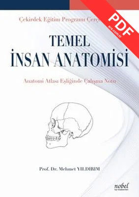 Temel İnsan Anatomisi - Çekirdek Eğitim Programı Çerçevesinde