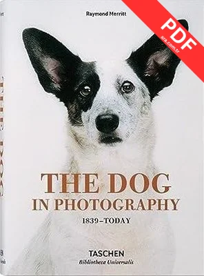 The Dog in Photography 1839-Today PDF indir