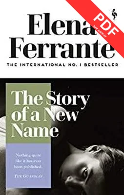 The Story of a New Name (Neapolitan Quartet 2)