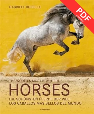 The World's Most Beautiful Horses