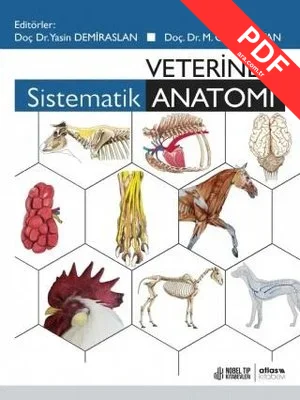 Veteriner Sistematik Anatomi