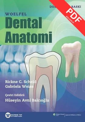Woelfel Dental Anatomi